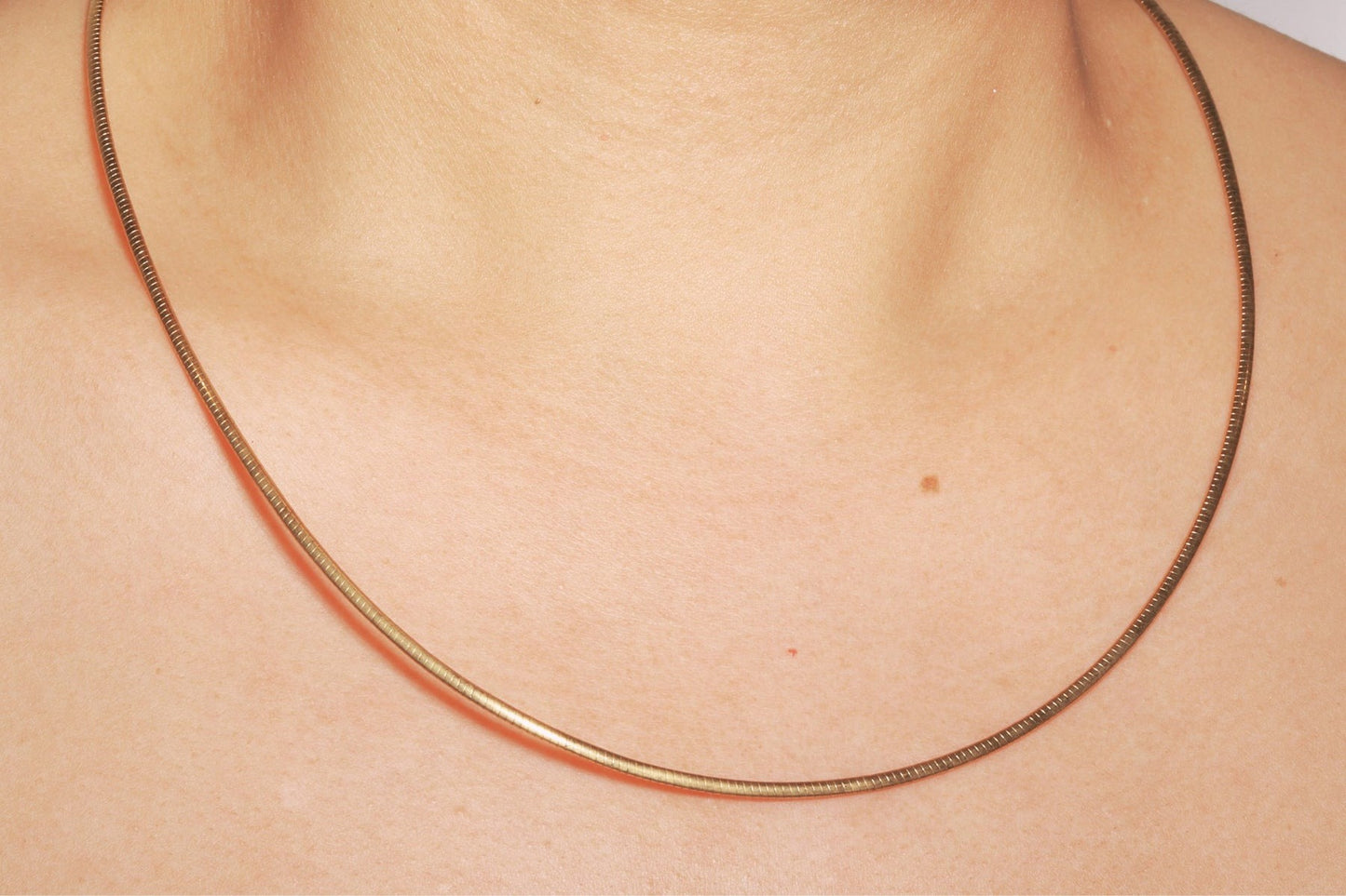 Reversible Flat Omega Necklace